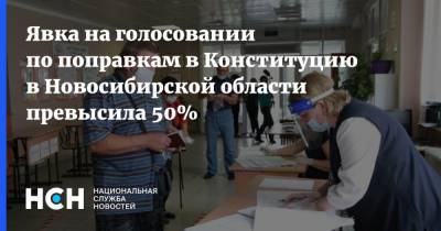 Явка на голосовании по поправкам в Конституцию в Новосибирской области превысила 50%