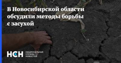 В Новосибирской области обсудили методы борьбы с засухой
