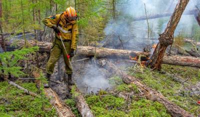 Специалисты Тюмени и ХМАО едут в Якутию для борьбы с лесными пожарам