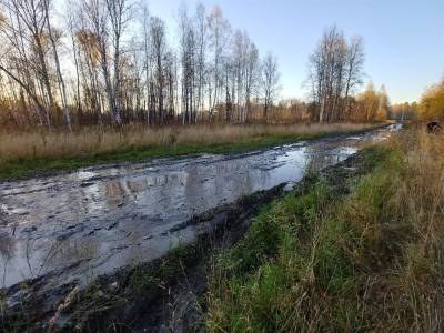 Строительство дороги Тайга — Томск обойдется в 16,8 млрд рублей