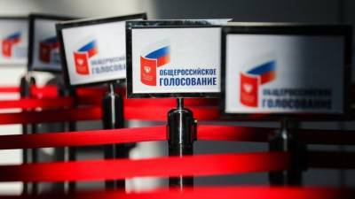Памфилова назвала голосование по поправкам к Конституции легитимным