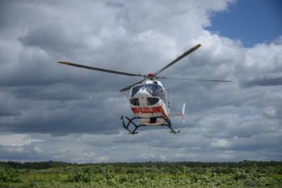 Строительство вертодрома для запуска услуги аэротакси в ТиНАО подходит к концу