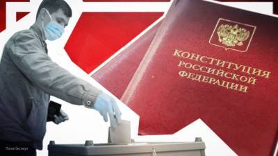 Комиссия Совфеда выявила вмешательство в дела РФ во время голосования по Конституции