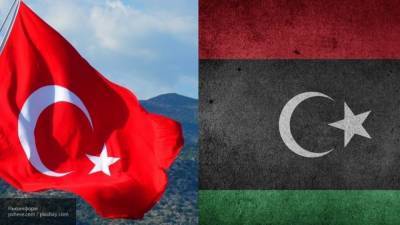 Бывший генсек Лиги арабских государств призвал объединиться против турецкой интервенции