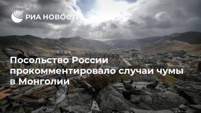 Посольство России прокомментировало случаи чумы в Монголии