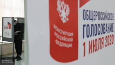 СПЧ назвал процесс голосования по поправкам к Конституции "предельно прозрачным"