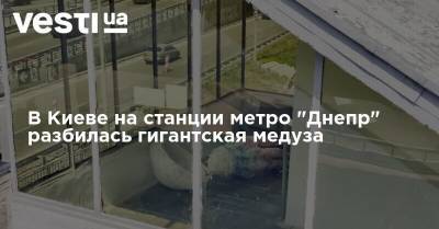 В Киеве на станции метро "Днепр" разбилась гигантская медуза