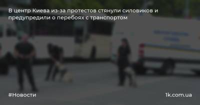 В центр Киева из-за протестов стянули силовиков и предупредили о перебоях с транспортом