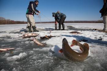 Рыбакам в Вологодской области за незаконный улов вынесли приговор