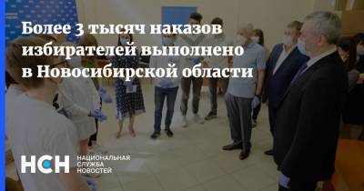 Более 3 тысяч наказов избирателей выполнено в Новосибирской области