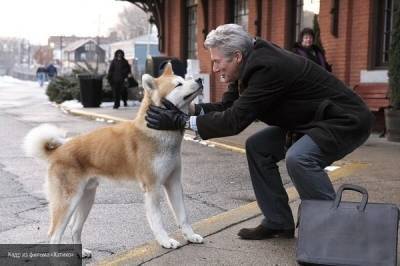 "Хатико: Самый верный друг" стал любимым фильмом россиян о собаках