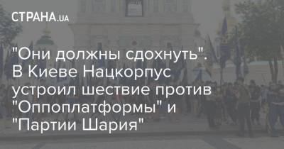 "Они должны сдохнуть". В Киеве Нацкорпус устроил шествие против "Оппоплатформы" и "Партии Шария"