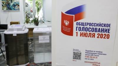 Дарья Кислицына - Эксперт прокомментировала итоги голосования по Конституции - russian.rt.com - Россия