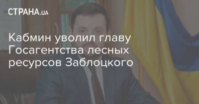 Кабмин уволил главу Госагентства лесных ресурсов Заблоцкого