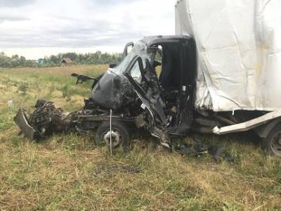 В Башкирии водитель фургона погиб в столкновении с КамАЗом