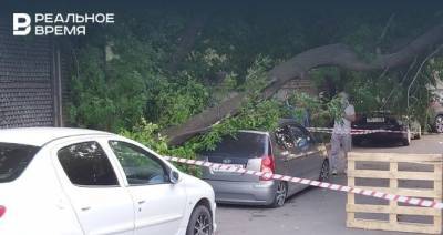 На улице Ершова в Казани дерево упало на легковушку — фото