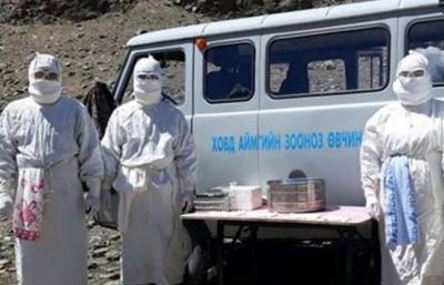 Вспышка бубонной чумы зафиксирована в Монголии
