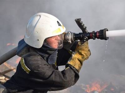 На Николаевщине горит крупная свалка (ВИДЕО)