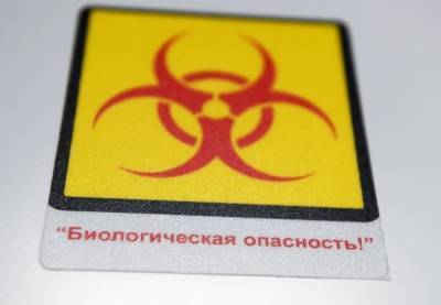 Эпидемиолог оценил шанс проникновения бубонной чумы из Монголии в Россию