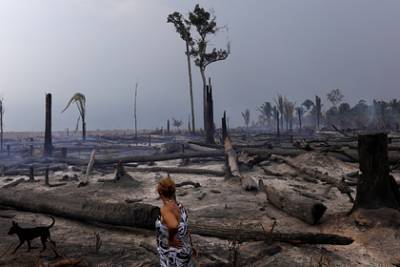 Рекордные лесные пожары произошли в Амазонии