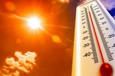 До 42 градусов тепла: Херсонскую область предупредили о чрезвычайной жаре