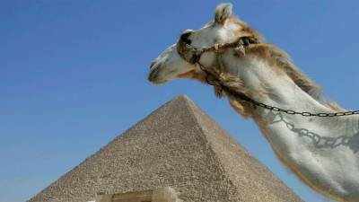 Египет принял первые туристические рейсы