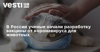 В России ученые начали разработку вакцины от коронавируса для животных