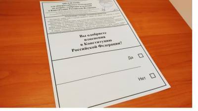 Поправки в Конституцию: где в Петербурге проголосовали против