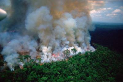 В Амазонии темпы распространения лесных пожаров побили 13-летний рекорд