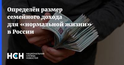 Определён размер семейного дохода для «нормальной жизни» в России