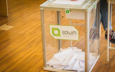 В ускоренном режиме: парламент Грузии утвердил поправки в Избирательный кодекс