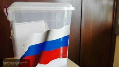 Граждане РФ проголосовали по поправкам к Конституции в посольстве России в Камеруне