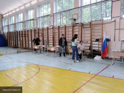 Мэрия Москвы опубликовала портрет онлайн-избирателя в рамках голосования по поправкам