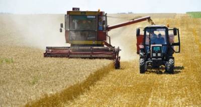 В Сербии ожидают больший урожай пшеницы, чем в прошлом году