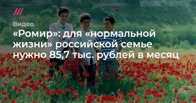 «Ромир»: для «нормальной жизни» российской семье нужно 85,7 тыс. рублей в месяц