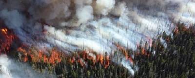 В Магаданской области на площади 200 тысяч гектаров горят леса