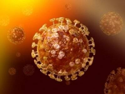 Россия начала экспорт препарата для лечения коронавируса в Беларусь