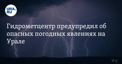 Гидрометцентр предупредил об опасных погодных явлениях на Урале