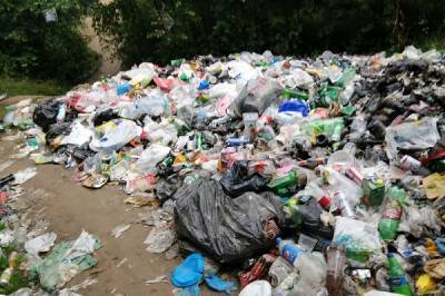 Жители Ленобласти пожаловались на груду мусора в Кузьмоловском карьере