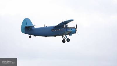 Поисками пропавшего в Бурятии Ан-2 занимаются три воздушных судна