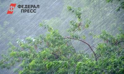 Сильные дожди с градом сменят аномальную жару в Сибири