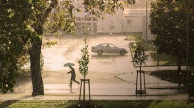 На новой рабочей неделе в Воронежскую область придут дожди с грозами.
