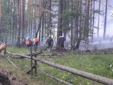 В Бурзянском районе Башкирии с помощью встречного пала удалось локализовать лесной пожар