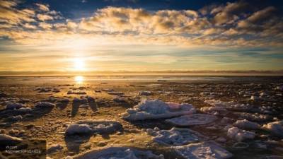 Школьники открыли новый остров в Арктике с помощью спутниковых снимков