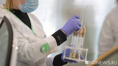 Ученые выяснили, откуда привезли в Россию коронавирус
