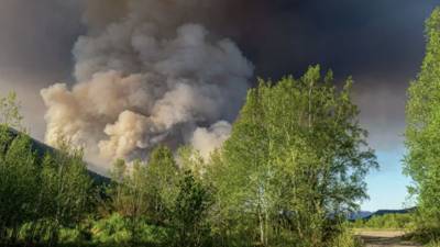 Площадь лесных пожаров в Югре приближается к 30 тысячам га