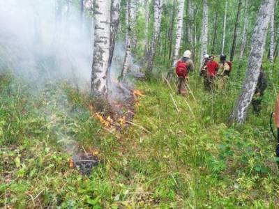 Пожар в заповеднике Башкирии рассчитывают потушить к среде