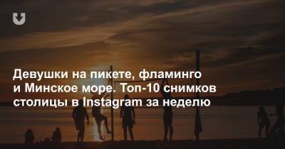 Девушки на пикете, фламинго и Минское море. Топ-10 снимков столицы в Instagram за неделю
