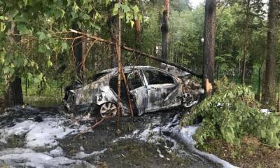 В Карелии автомобиль врезался в дерево и загорелся