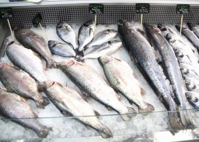 Пойманная рыба может стать причиной паразитарных заболеваний – Роскачество